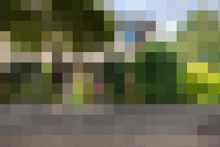 Woudestein 2 Gouda thumbnail 5