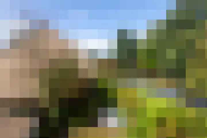 Woudestein 2 Gouda thumbnail 50