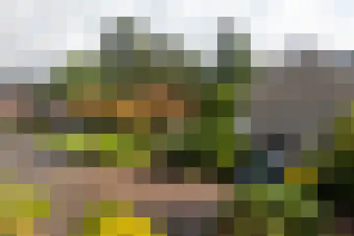 Woudestein 2 Gouda thumbnail 51