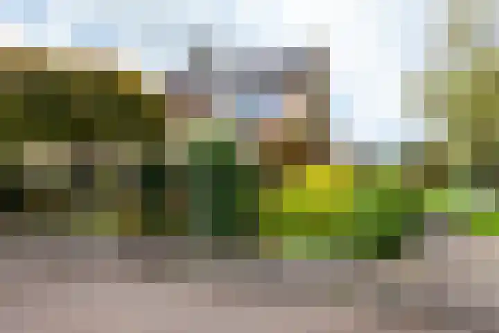Woudestein 2 Gouda thumbnail 52
