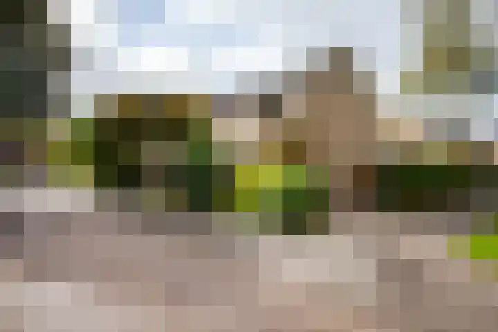 Woudestein 2 Gouda thumbnail 53