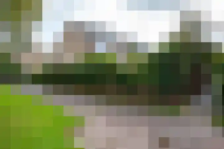Woudestein 2 Gouda thumbnail 54
