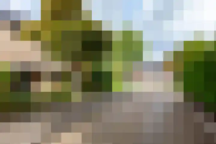 Woudestein 2 Gouda thumbnail 55