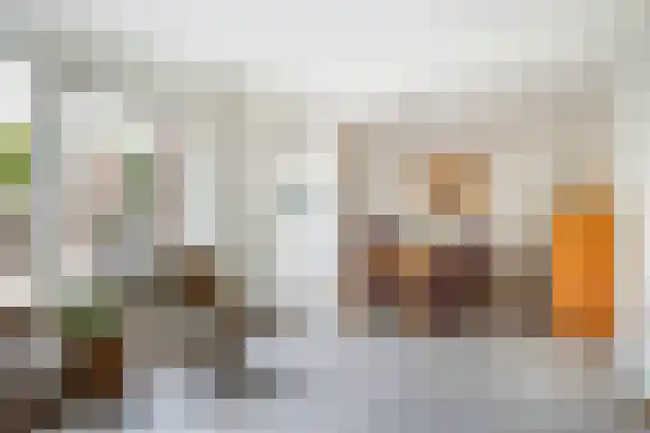 Woudestein 24 Gouda thumbnail 16