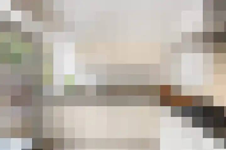 Woudestein 24 Gouda thumbnail 18