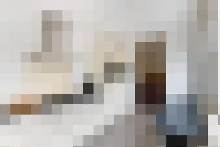 Woudestein 24 Gouda thumbnail 20