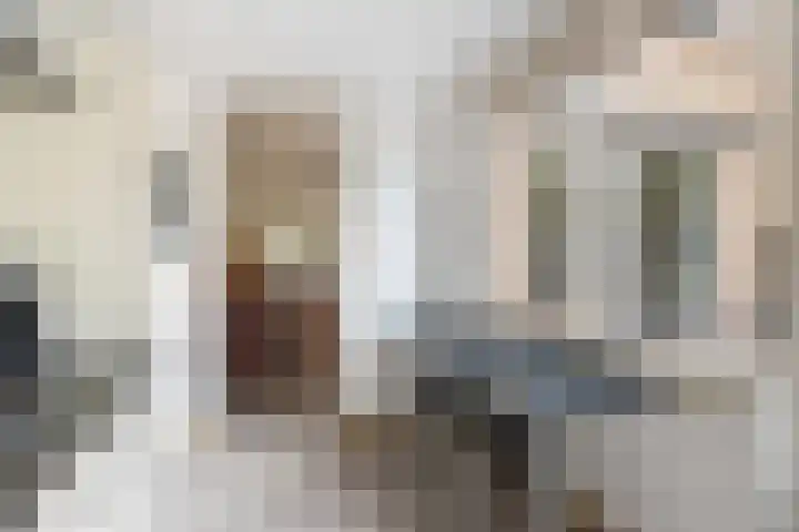 Woudestein 24 Gouda thumbnail 21