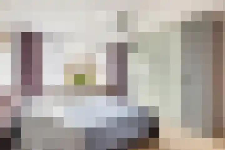Woudestein 24 Gouda thumbnail 25