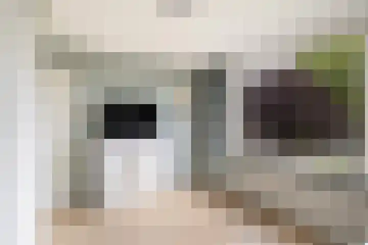 Woudestein 24 Gouda thumbnail 28