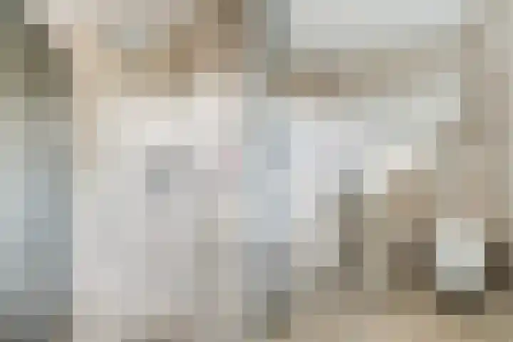 Woudestein 24 Gouda thumbnail 32