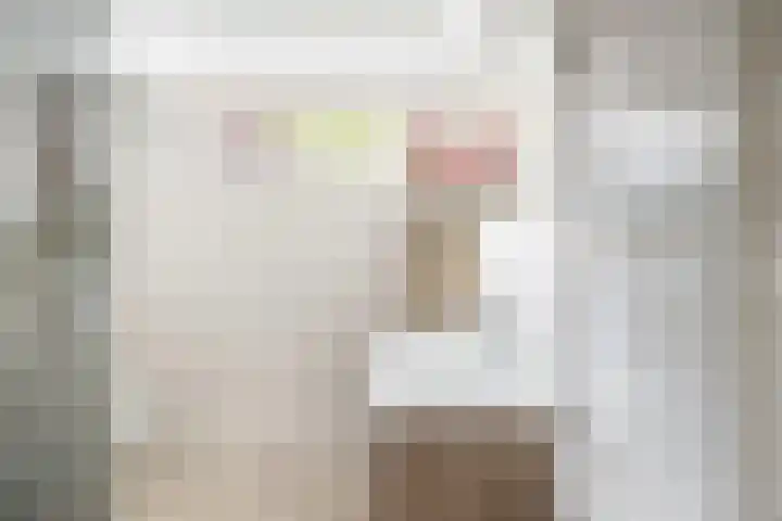 Woudestein 24 Gouda thumbnail 33