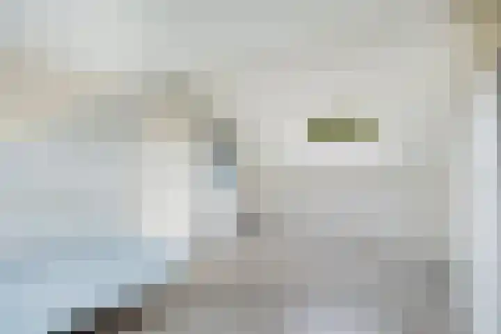 Woudestein 24 Gouda thumbnail 39