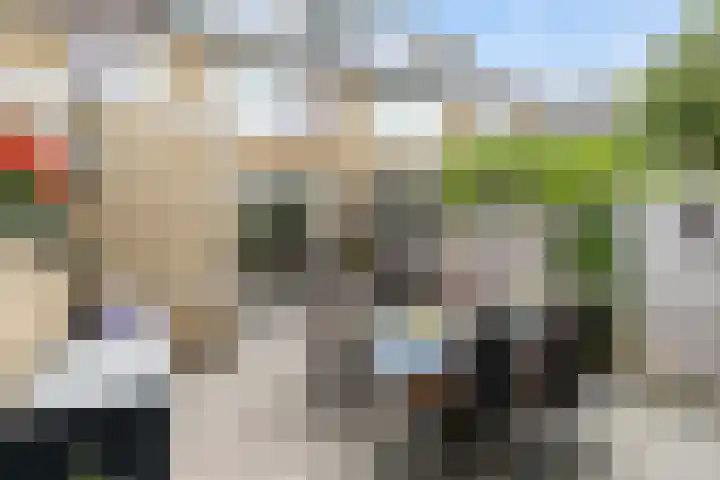 Woudestein 24 Gouda thumbnail 42