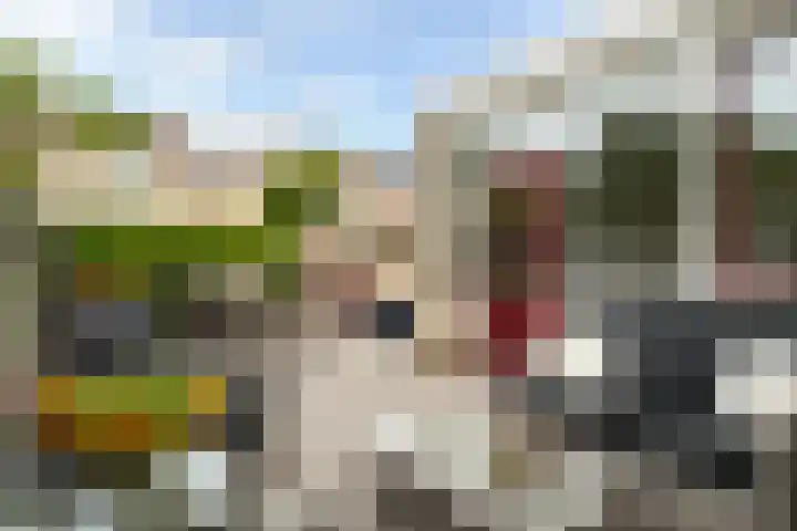 Woudestein 24 Gouda thumbnail 43