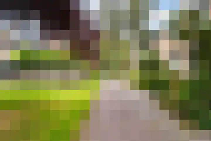 Woudestein 24 Gouda thumbnail 44