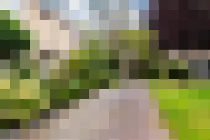 Woudestein 24 Gouda thumbnail 45