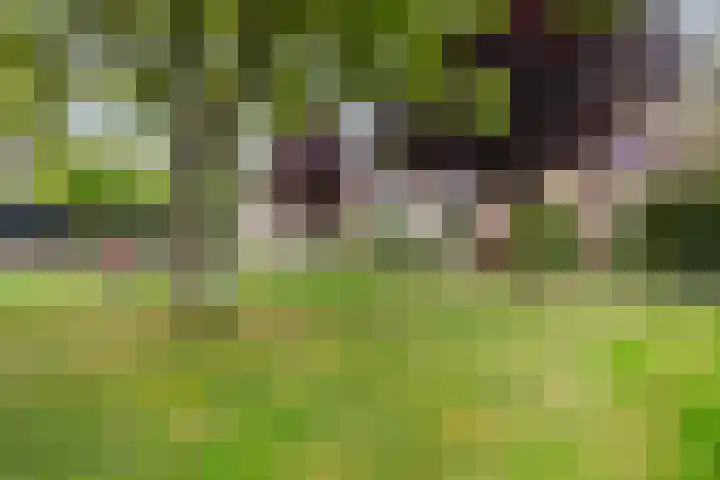Woudestein 24 Gouda thumbnail 46