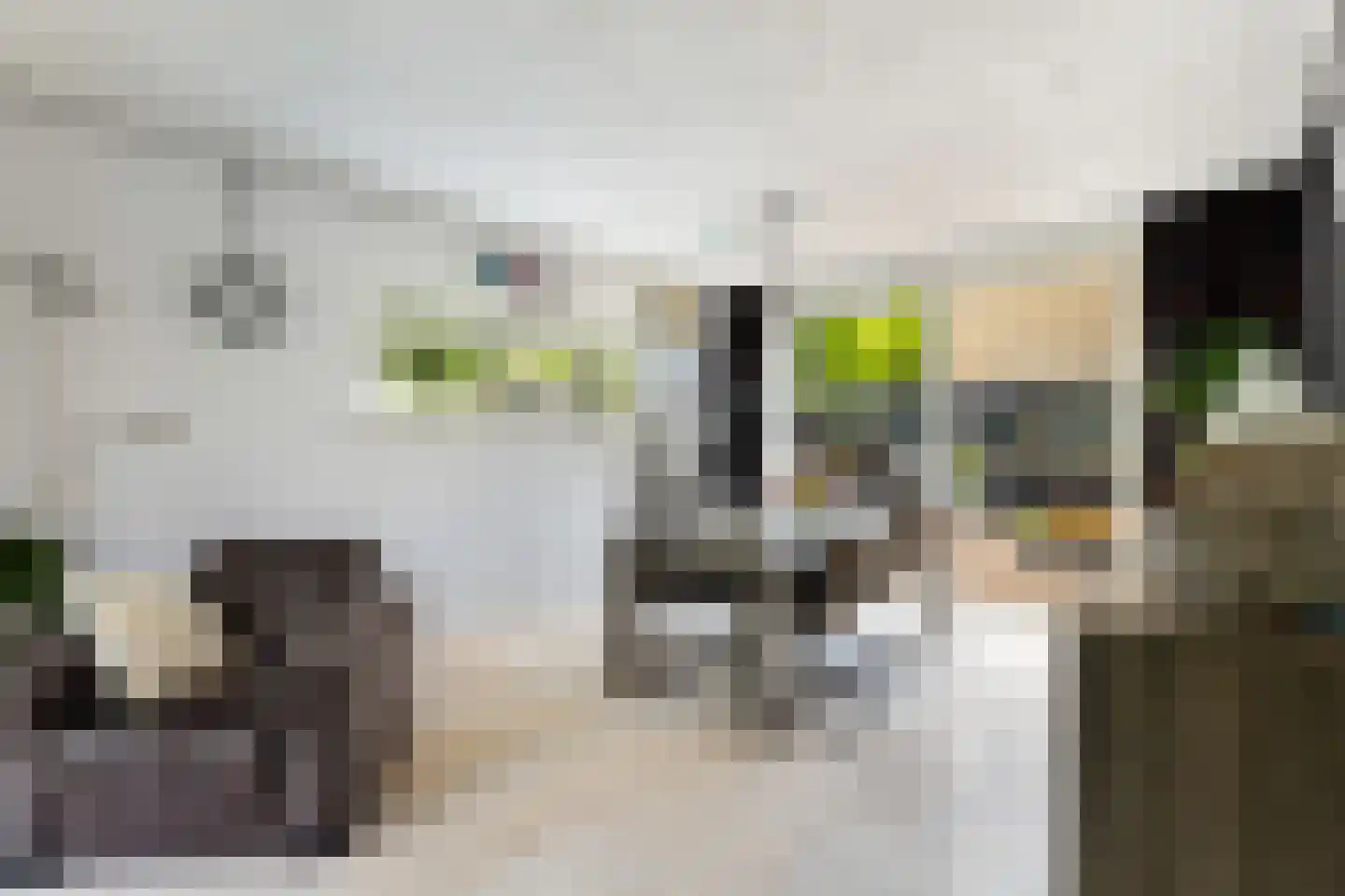 Woudestein 36 Gouda thumbnail 13