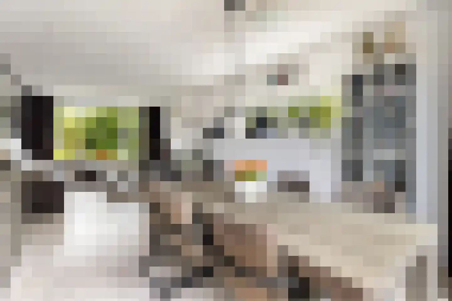 Woudestein 36 Gouda thumbnail 14