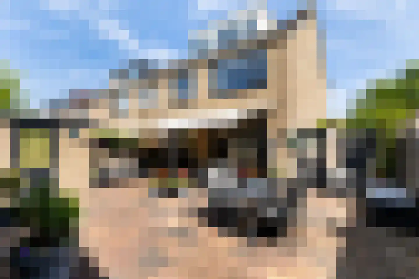 Woudestein 36 Gouda thumbnail 38