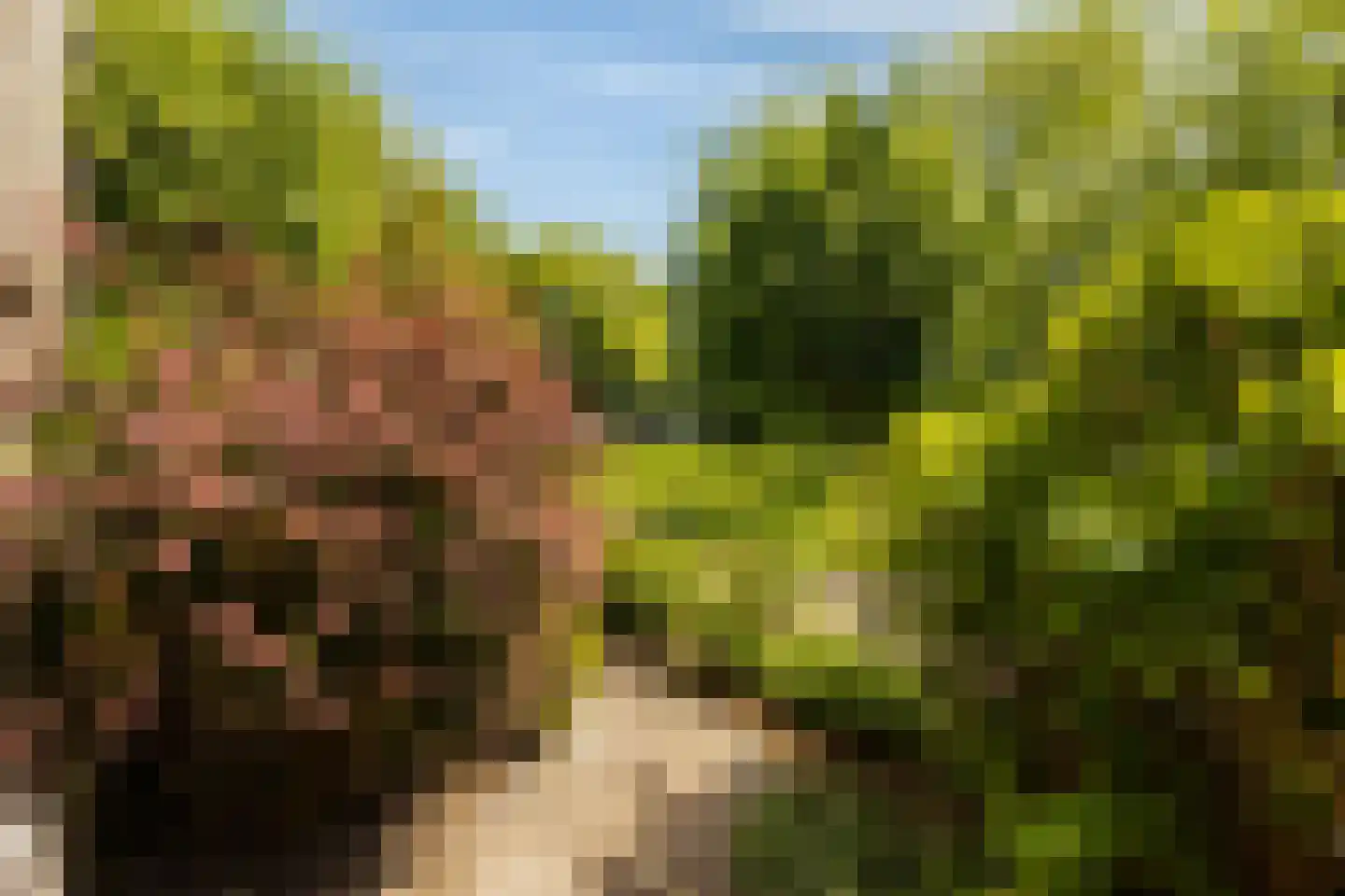 Woudestein 36 Gouda thumbnail 45