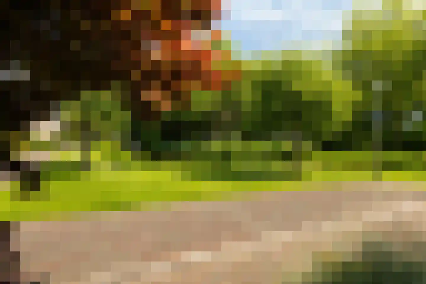 Woudestein 36 Gouda thumbnail 46