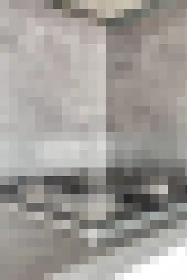 Woudevoirt 12 Zoeterwoude thumbnail 11
