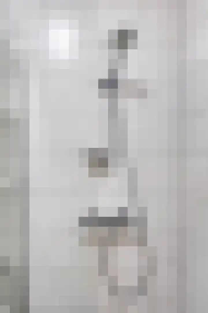 Woudevoirt 12 Zoeterwoude thumbnail 15