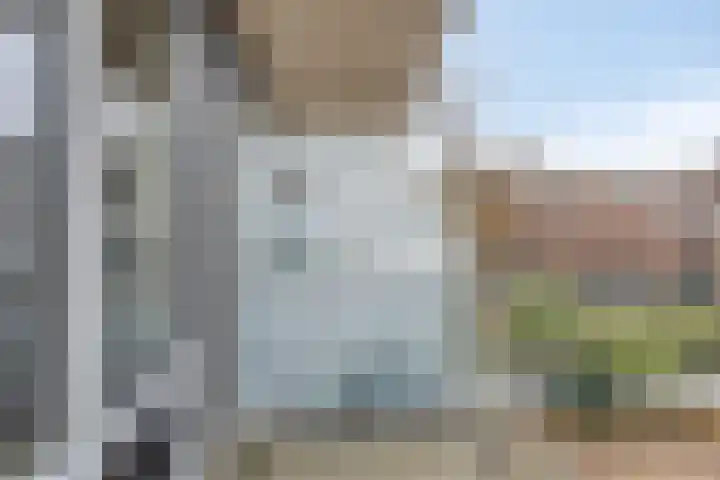 Woudevoirt 12 Zoeterwoude thumbnail 18