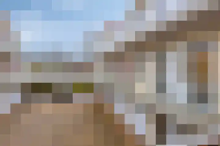Woudevoirt 12 Zoeterwoude thumbnail 20