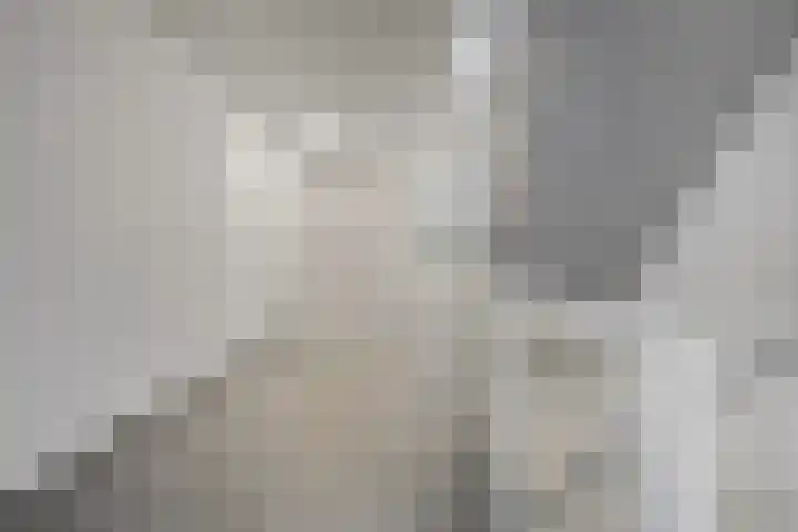 Woudevoirt 12 Zoeterwoude thumbnail 21