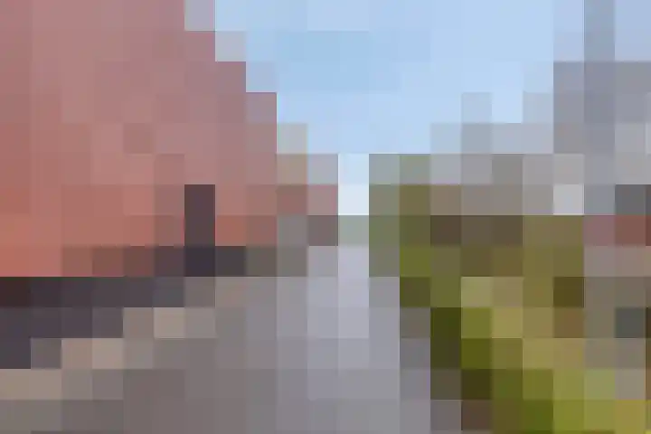 Woudevoirt 12 Zoeterwoude thumbnail 23