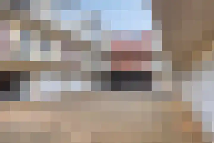 Woudevoirt 12 Zoeterwoude thumbnail 24