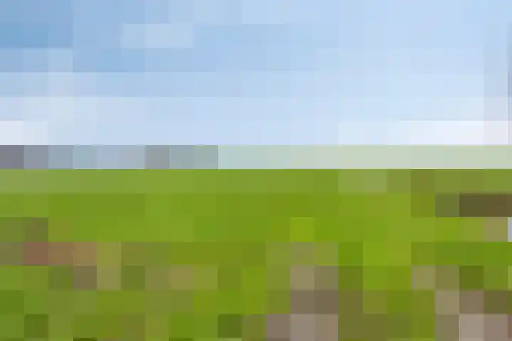 Woudevoirt 12 Zoeterwoude thumbnail 25
