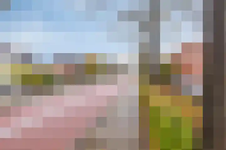 Woudevoirt 12 Zoeterwoude thumbnail 26