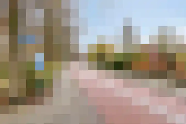 Woudevoirt 12 Zoeterwoude thumbnail 27