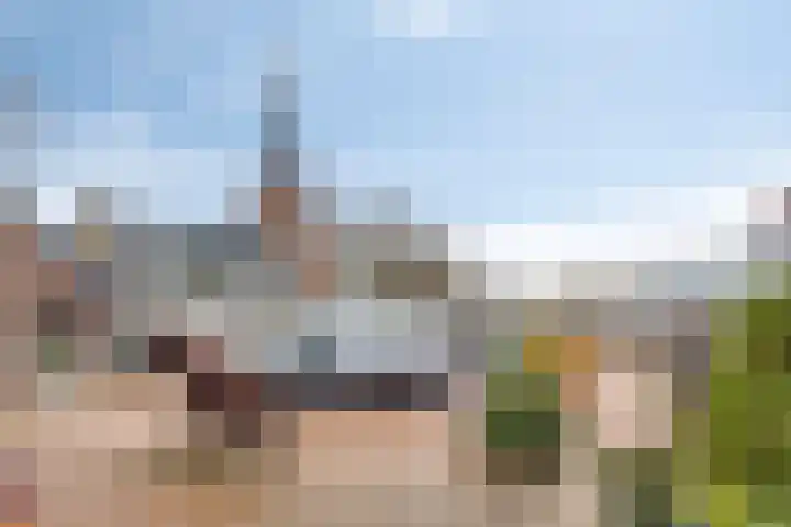 Woudevoirt 12 Zoeterwoude thumbnail 28