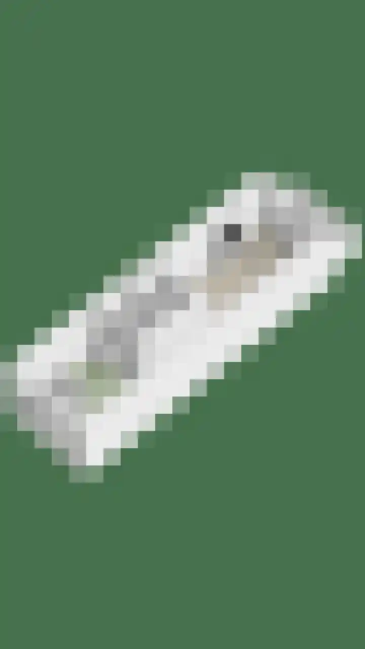 Woudevoirt 12 Zoeterwoude thumbnail 30