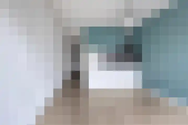 Woudevoirt 12 Zoeterwoude thumbnail 8