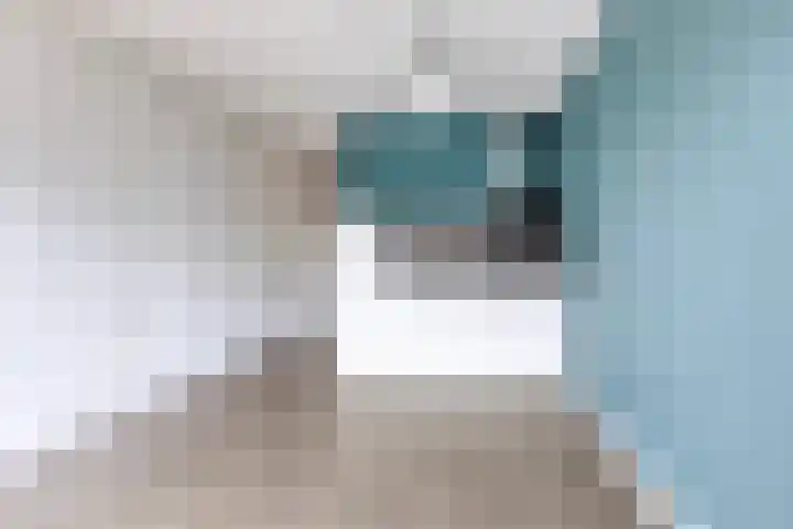 Woudevoirt 12 Zoeterwoude thumbnail 9