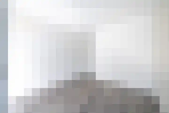 Woudevoirt 15 Zoeterwoude thumbnail 11