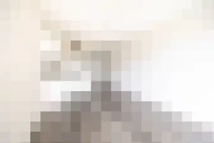 Woudevoirt 15 Zoeterwoude thumbnail 13