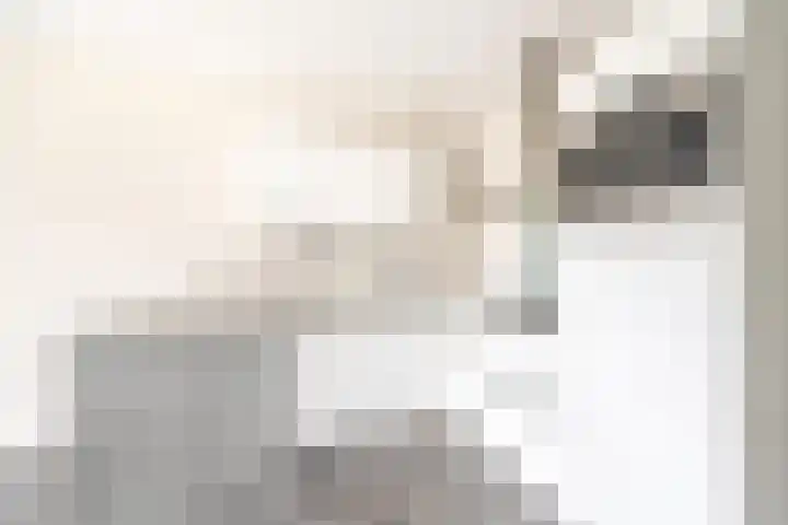 Woudevoirt 15 Zoeterwoude thumbnail 14