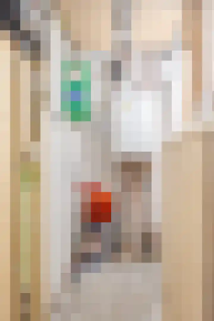 Woudevoirt 15 Zoeterwoude thumbnail 17