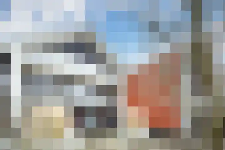 Woudevoirt 15 Zoeterwoude thumbnail 27
