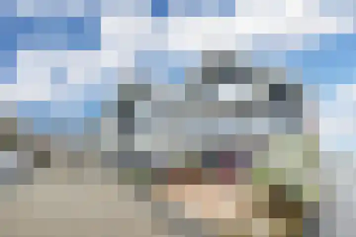 Woudevoirt 15 Zoeterwoude thumbnail 29