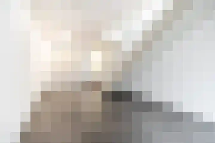 Woudevoirt 15 Zoeterwoude thumbnail 5