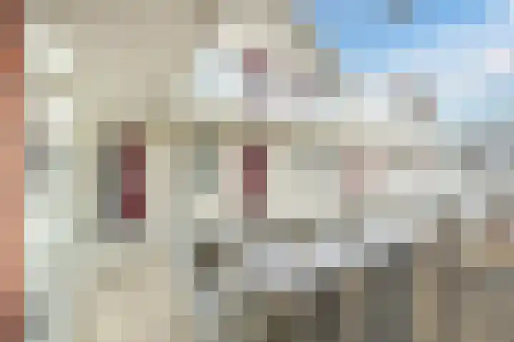Woudevoirt 15 Zoeterwoude thumbnail 6