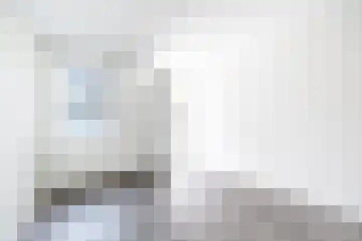 Woudevoirt 15 Zoeterwoude thumbnail 9