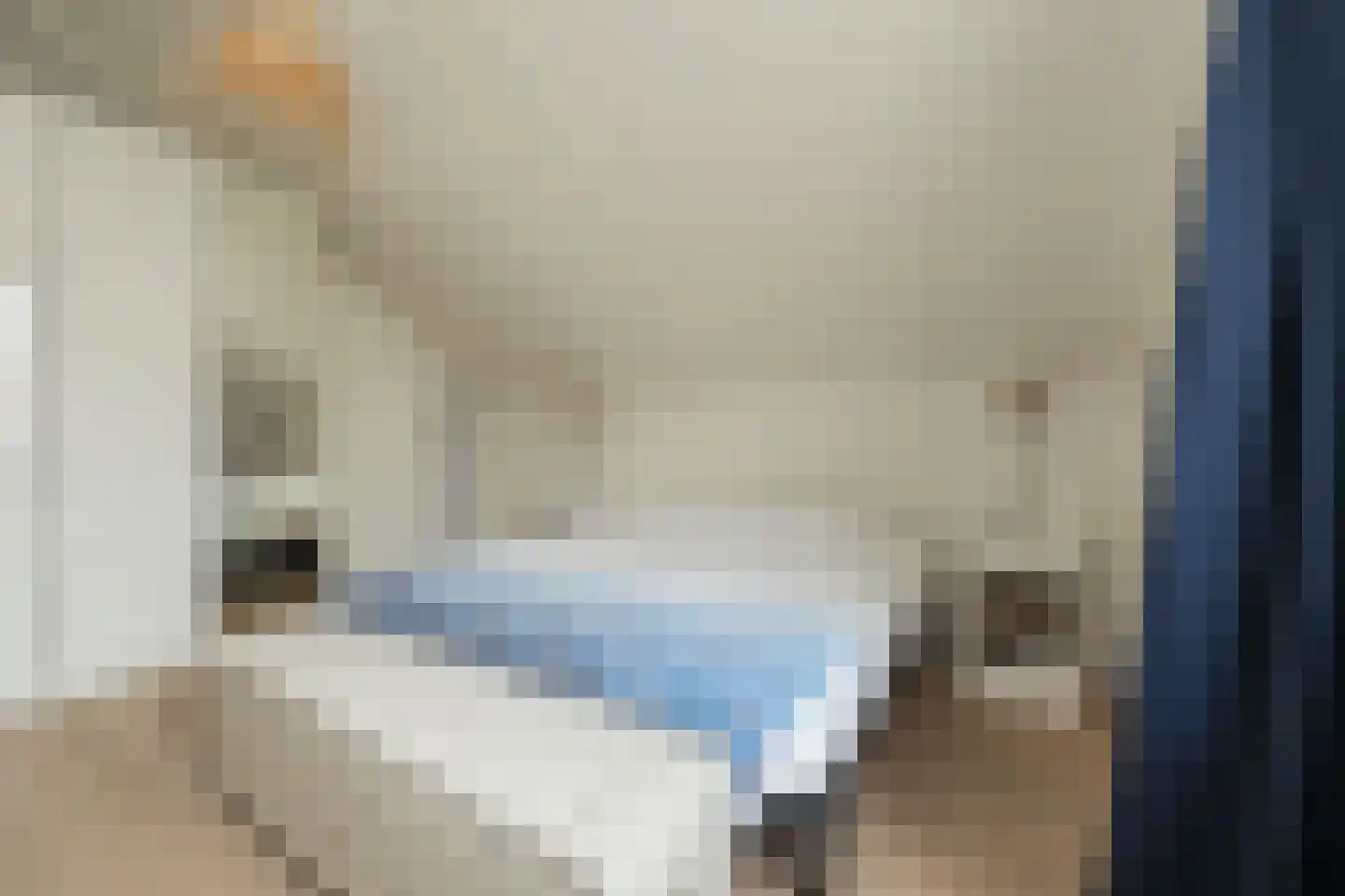 Woudevoirt 33 Zoeterwoude thumbnail 19